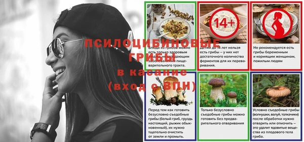 spice Березники