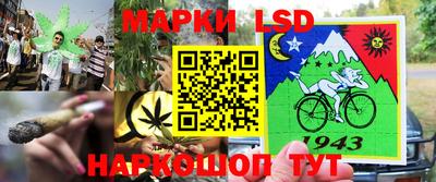 шишки Гусиноозёрск