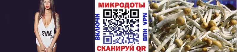 Псилоцибиновые грибы ЛСД  купить закладку  Дальнереченск 