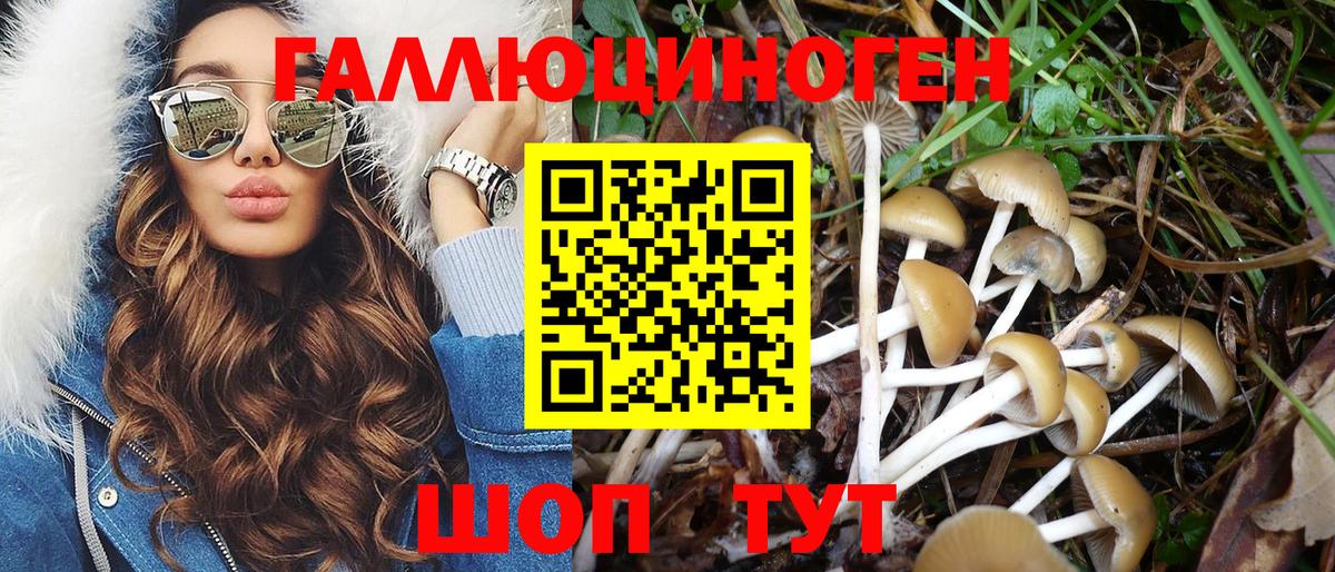 купить наркотик  Галлюциногенные грибы MAGIC MUSHROOMS  Псилоцибиновые грибы Cubensis  Вход с VPN  Дальнереченск 