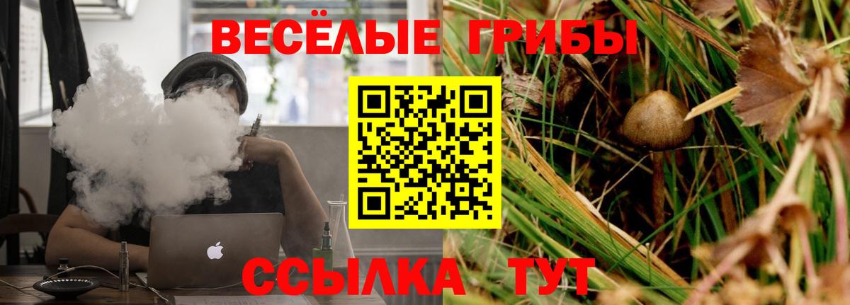 Альфа ПВП  Бошки Шишки  Гарик  Вход с VPN  Масло ТГК  Канабис  Меф  Дальнереченск  Cocaine  Мяу-Мяу 